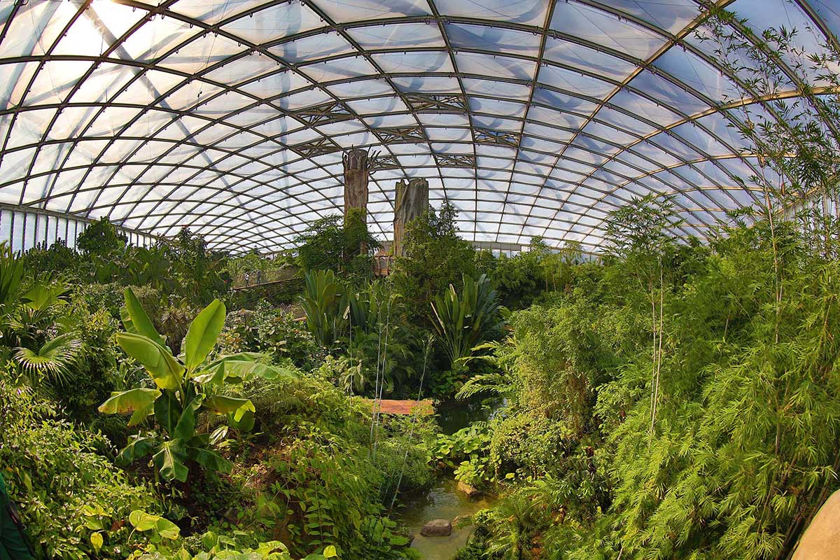 Innenansicht Gondwanaland